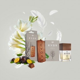 KIT EVOS GRACE ANGEL (kit aromatizador + perfume)